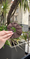 Chouchou Chocolat